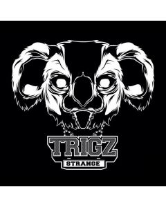 Trigz - Strange EP Album Cover