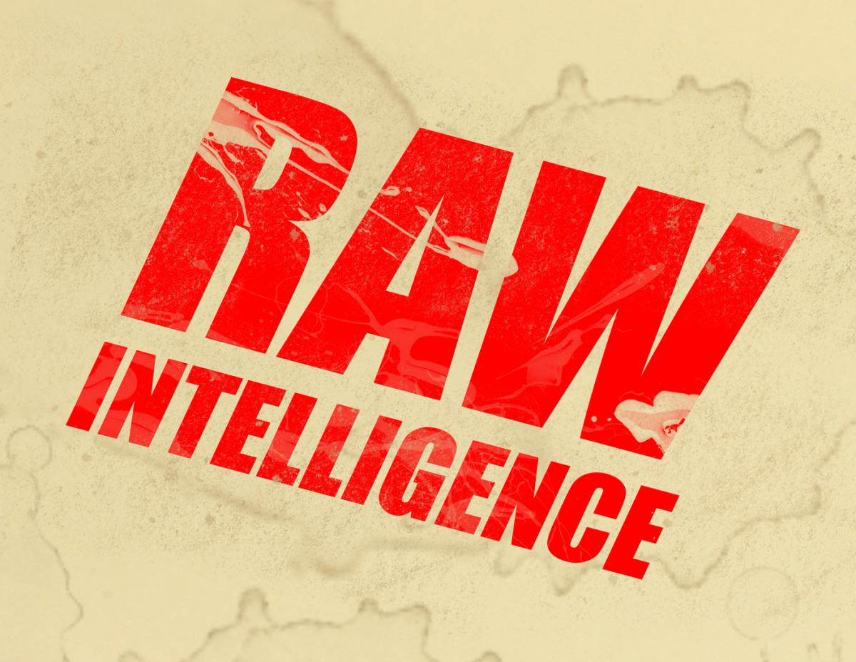 Raw Intelligence by Graphic (an interactive experience)